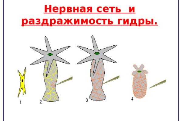 Вход в кракен