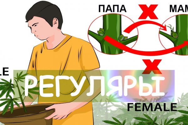 Кракен купить гашиш