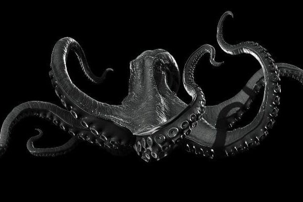 Kraken зеркало
